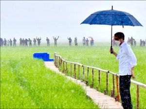 Vietnam Mau Bikin Food Estate Seperti RI, Tanam Padi Bersih 1 Juta Ha