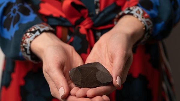 Mau Bawa Pulang Berlian Hitam Ini, Siapkan Dulu Duit Rp 97,5 M