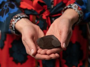 Mau Bawa Pulang Berlian Hitam Ini, Siapkan Dulu Duit Rp 97,5 M