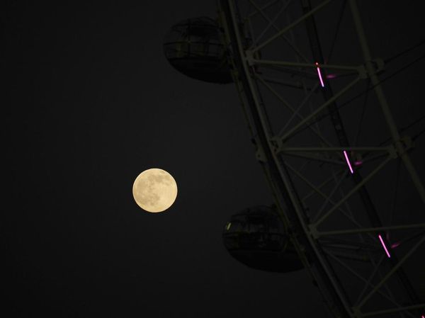 Auuu! Langit Tampakkan Fenomena Bulan Serigala