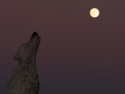 Ini Alasan Kenapa Serigala Suka Melolong pada Malam Hari