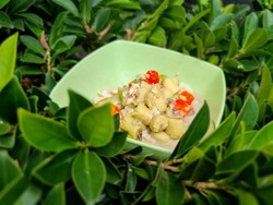 Cicipi Sayur Terubuk Pegunungan Sanggabuana, Irfan Hakim Ketagihan Lezatnya