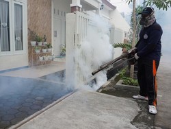 2 Pekan, Jumlah Kasus DBD di Mojokerto 70 Pasien-1 Anak Meninggal