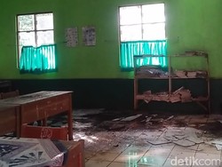 Kawanan Monyet Liar Rusak Sekolah-Serang Siswa di Kuningan