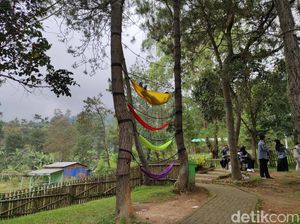 Wisata Murmer di Garut, Bisa Outbond hingga Selfie