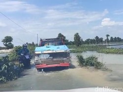 Banjir Luapan Bengawan Njero Lamongan Kembali Naik Setelah Sempat Surut