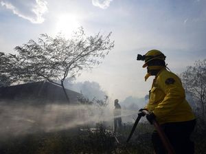 Ekstrim, Cuaca Panas Picu Kebakaran Lahan di Paraguay