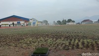 Rumput stadion ini diketahui diimpor dari Australia. Pantauan detikcom di lokasi, Rabu sore, rumput mulai ditanam di tengah lapangan. Menurut pengelola, rumput akan terlihat menutupi semua permukaan dalam waktu 3 hingga 6 bulan ke depan.