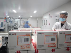 Punya Pabrik Baru, Sinovac Mampu Bikin 4 Miliar Dosis Vaksin