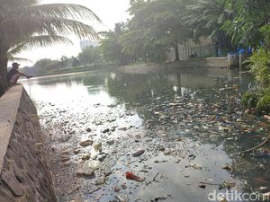 Sejumlah Ikan di Situ Citongtut Bogor Mati Diduga Tercemar Limbah Pabrik