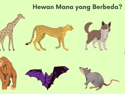 Asah Ketajaman Mata Sekaligus Otak dengan Teka-teki Gambar Hewan Ini