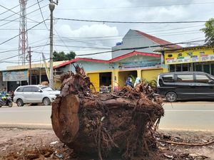 Warga Depok Keluhkan Batang Pohon Sisa Penebangan Hampir Sebulan Dibiarkan