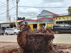 Warga Depok Keluhkan Batang Pohon Sisa Penebangan Hampir Sebulan Dibiarkan