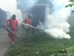 Puluhan Warga Tulungagung Kena Demam Berdarah, Anak Usia 7 Tahun Meninggal