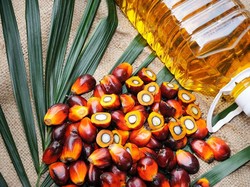 KPPU Sebut Produsen CPO Utamakan Ekspor saat Harga Tinggi