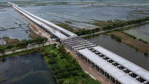 Membelah Persawahan, Begini Progres Jalan Tol Semarang-Demak