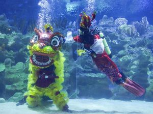 Atraksi Barongsai di Dalam Air Sambut Tahun Baru Imlek