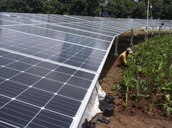 Perpres EBT Terbit Pekan Ini, Apa yang Diatur?