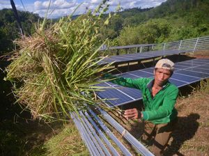 Penuhi Kebutuhan Pangan, DKI Siap Serap Hasil Panen Petani Lampung