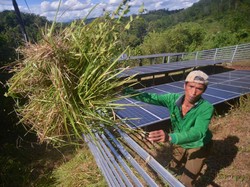 Penuhi Kebutuhan Pangan, DKI Siap Serap Hasil Panen Petani Lampung