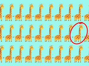 Uji Mata, Temukan Objek Gambar yang Terselip