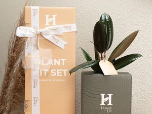 Pasti Berkesan! Simak Kado Unik untuk Selebrasi Rumah Baru