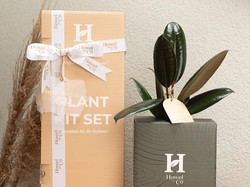 Pasti Berkesan! Simak Kado Unik untuk Selebrasi Rumah Baru