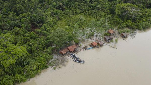 Kerja Keras Marinir Menembus Pedalaman Papua
