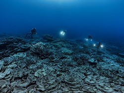 Peneliti Ingatkan Terumbu Karang Tahiti Rusak Saat Menara Olimpiade 2024 Dibangun