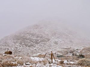 Salju Kembali Selimuti Arab