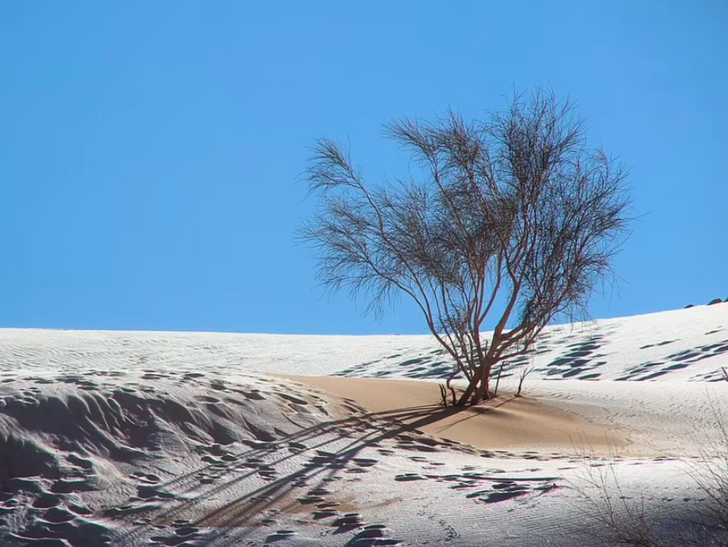 Langka, Turun Salju di Gurun Sahara