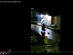 Viral Anjing Diseret Motor di Mamasa Sulbar, Diduga Aksi Pencurian