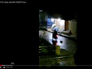 Heboh Anjing Diseret Pengendara Motor di Mamasa Sulbar