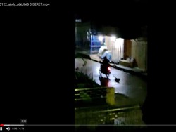 Heboh Anjing Diseret Pengendara Motor di Mamasa Sulbar