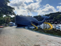 Snowbay Ditutup, Dirut TWC: Ini Biasa Saja, Tidak Ada yang Istimewa