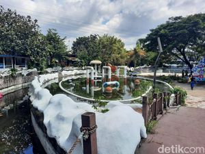 Elon Musk Minta Bandara di IKN Nusantara-Snowbay yang Tinggal Kenangan