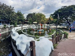 Elon Musk Minta Bandara di IKN Nusantara-Snowbay yang Tinggal Kenangan