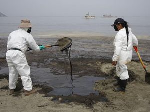 Tumpahan Minyak di Pantai Peru Terus Dibersihkan
