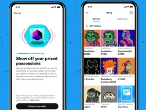 Twitter/X Diam-diam Hilangkan Fitur Profil NFT untuk Pelanggan Premium