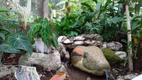 Kebun Binatang Reptil Pertama Pangandaran, Zeround Park