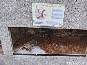 Zeround Park, Kebun Binatang Reptil Pertama di Pangandaran