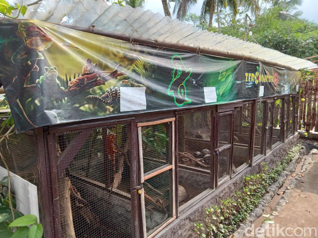 Zeround Edu Park, Wisata sambil Mengenal Reptil di Pangandaran