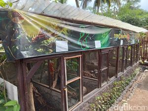 Zeround Edu Park, Wisata sambil Mengenal Reptil di Pangandaran Zeround Edu Park, Wisata sambil Mengenal Reptil di Pangandaran