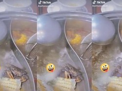 Duh! Kepiting Ini Masih Sempat Ngemil Jagung Saat Direbus di Panci Hotpot