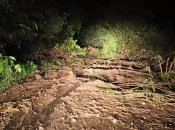 Jalur Alternatif Boyolali-Magelang di Tlogolele Tertimbun Longsor