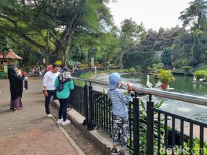 2 Pekan Terakhir Pengunjung Kebun Binatang Ragunan Turun Drastis