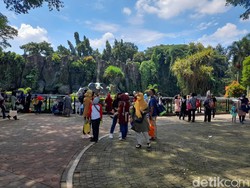Jumlah Wisatawan Kebun Binatang Ragunan Turun Drastis dalam 2 Pekan Terakhir