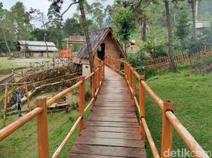 Menikmati Sejuknya Pesona Keindahan Kaki Gunung Papandayan