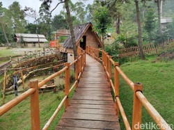 Menikmati Sejuknya Pesona Keindahan Kaki Gunung Papandayan