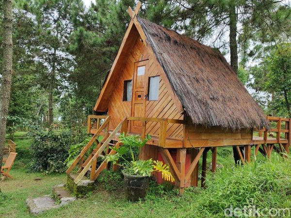 Liburan ke Garut? Yuk Coba Ngecamp di Kaki Gunung Papandayan